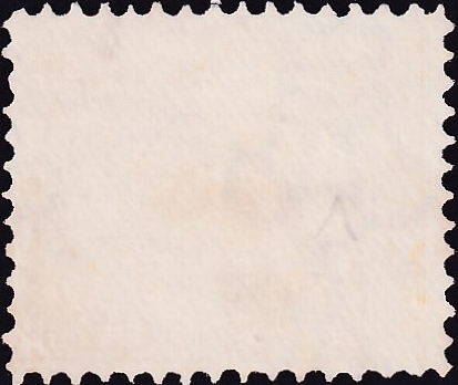   1903  .   (Cygnus atratus) .  8,0 . (1)